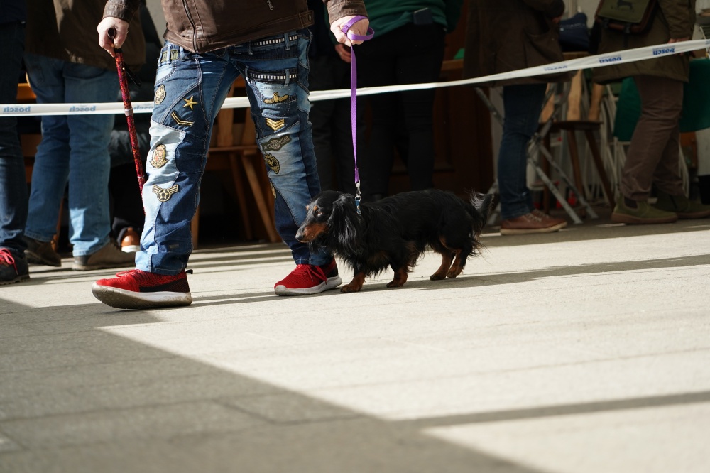 s_A9_09873.jpg